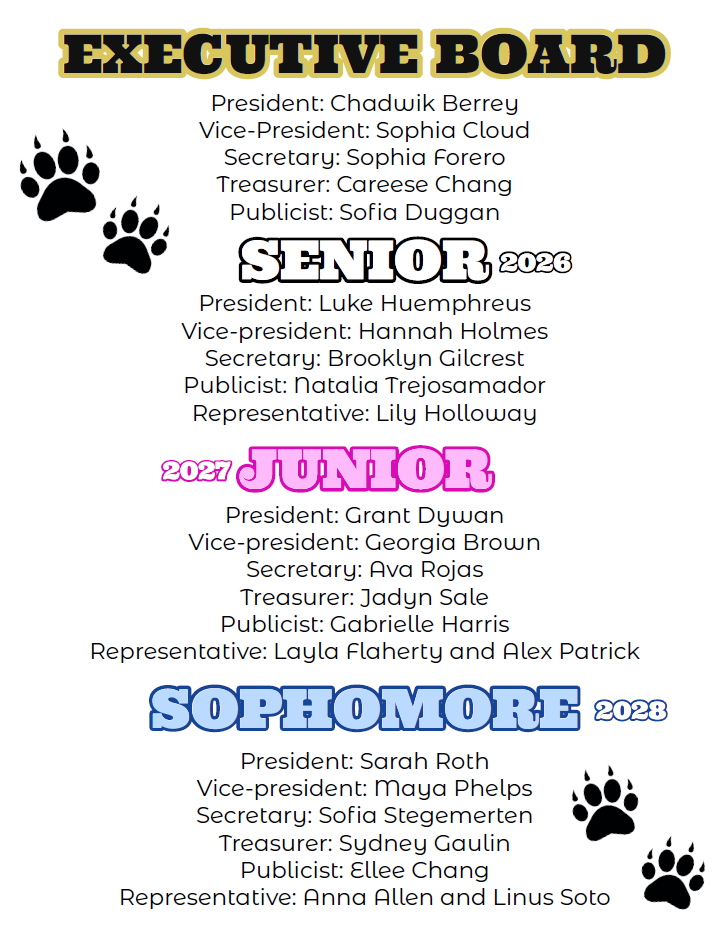 New Student Council Boards
